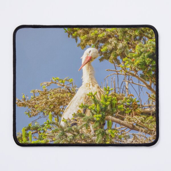 Item preview, Stork Query designed and sold by Ralph Goldsmith.