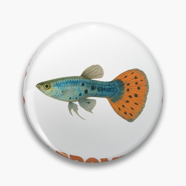 Item preview, One more fish  designed and sold by mclaurin612.