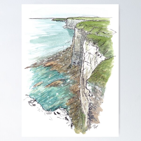 Item preview, RSPB Bempton Cliffs designed and sold by Tom Napper Design.