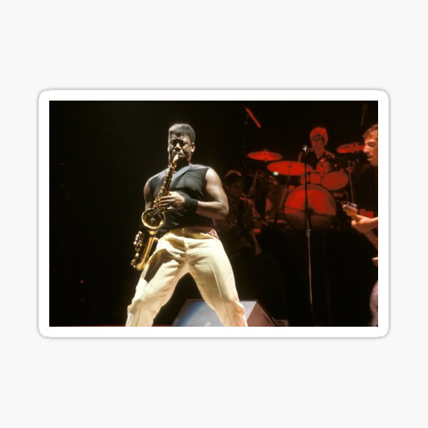 Aperçu de l'œuvre Clarence Clemons - Photographie créée et vendue par ConcertImages.