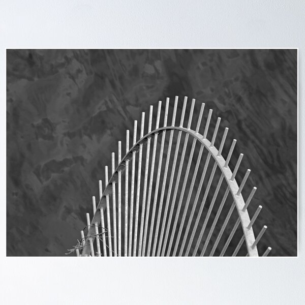 Radial Rodent Barrier Poster
