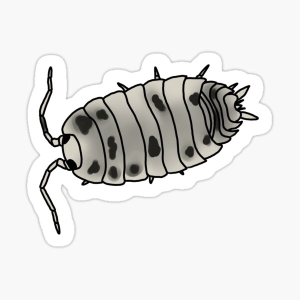 Item preview, Dairy Cow Isopod designed and sold by mewcury.
