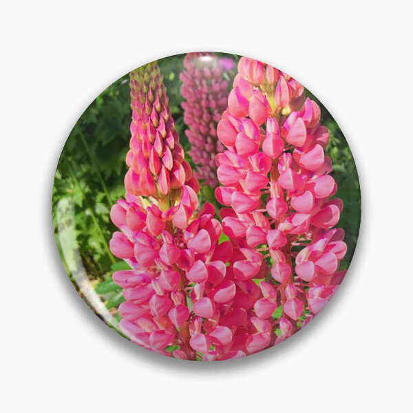 Item preview, Lovely Lupins in Summer Sunshine designed and sold by Violaman.