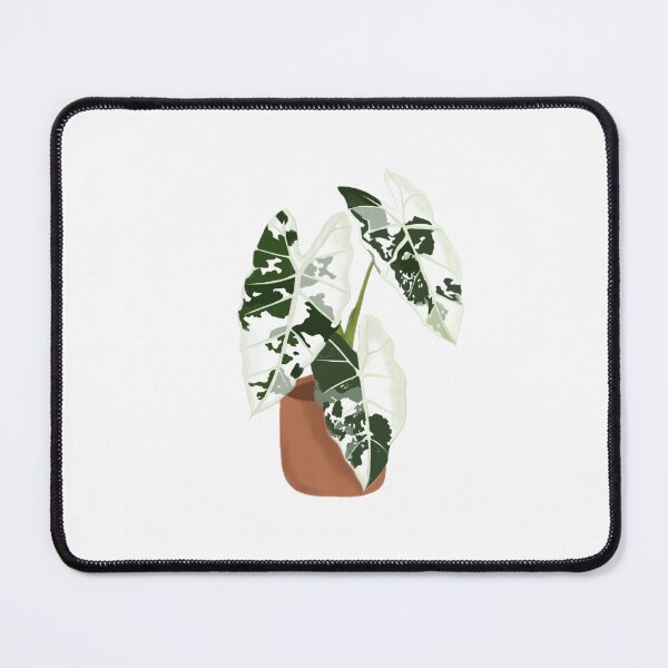 Item preview, Varigated Alocasia Frydek Drawing designed and sold by ElpidaDraws.