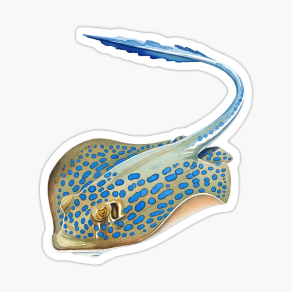 Item preview, Bluespotted Ribbontail Ray designed and sold by 4rtistcDrift.