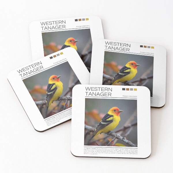 Item preview, Western Tanager designed and sold by StudioRedKoala.