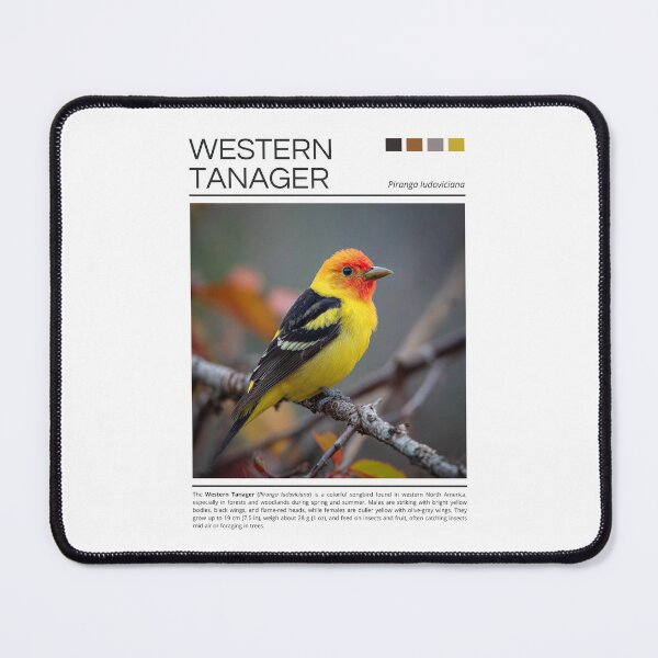 Item preview, Western Tanager designed and sold by StudioRedKoala.