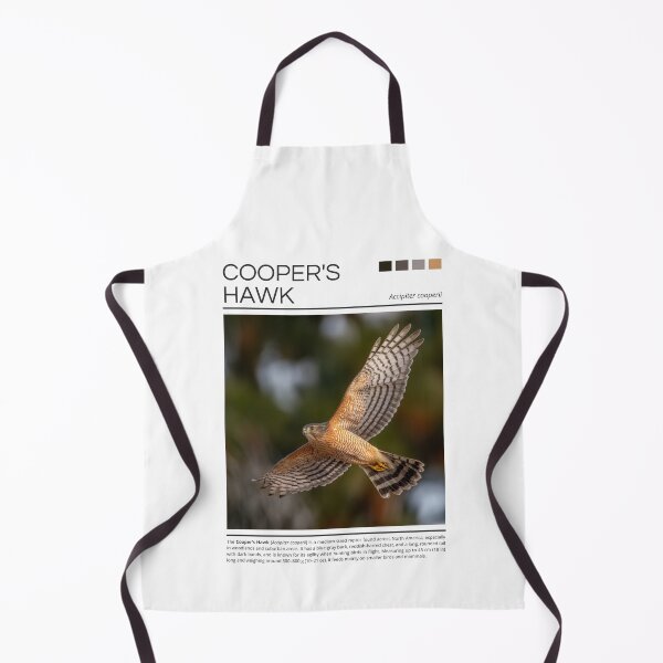 Item preview, Cooper’s Hawk  designed and sold by StudioRedKoala.
