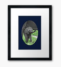 Baby African Elephant Framed Print