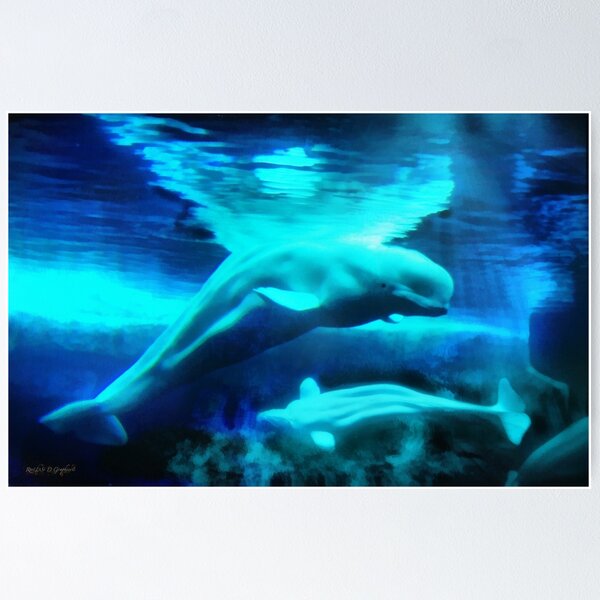 Item preview, Belugas del Ártico designed and sold by Rhonda Strickland.