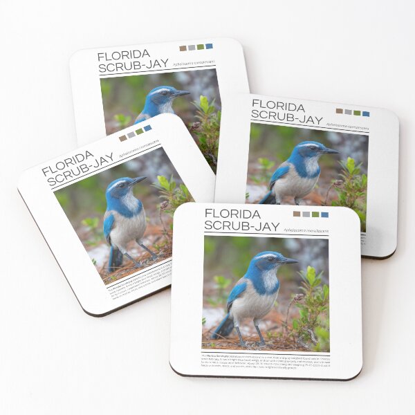 Item preview, Florida Scrub-Jay designed and sold by StudioRedKoala.
