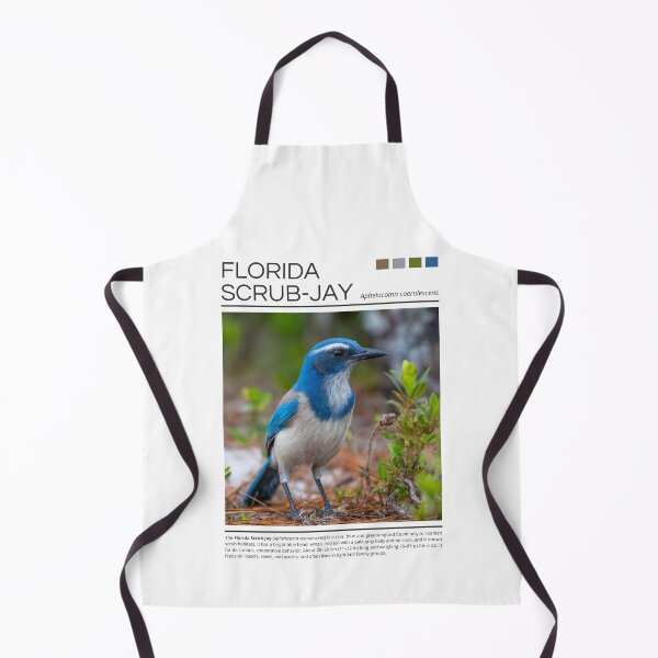 Item preview, Florida Scrub-Jay designed and sold by StudioRedKoala.