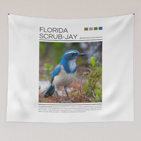 Item preview, Florida Scrub-Jay designed and sold by StudioRedKoala.