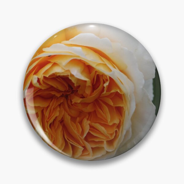 Item preview, White Amber Rose Full of Petals designed and sold by SW-CraftDesigns.