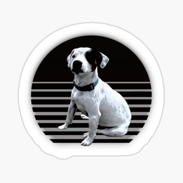 Item preview, Jack Russell in a black and gray sunset, dog, dogs designed and sold by Wawan35200.