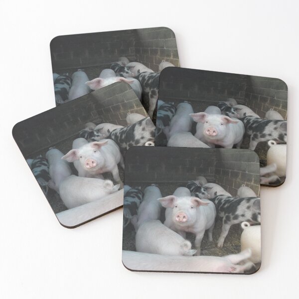 Item preview, Piggies designed and sold by GooglyEyes-.