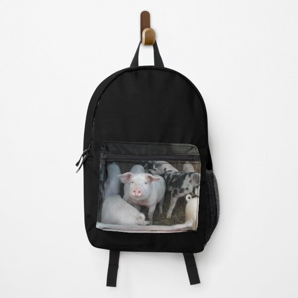 Item preview, Piggies designed and sold by GooglyEyes-.