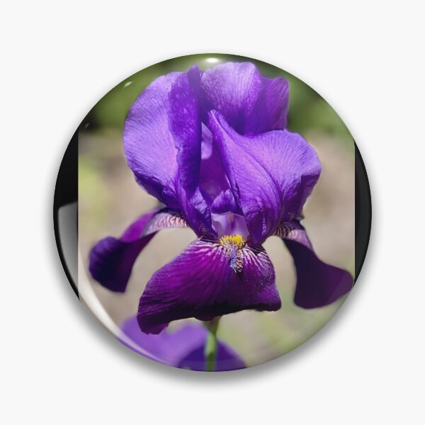 Item preview, The Exquisite Iris designed and sold by Lana Magnolia.