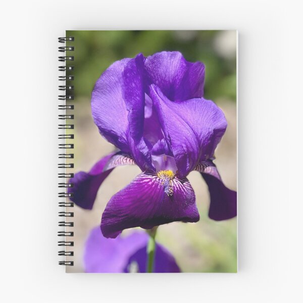 Item preview, The Exquisite Iris designed and sold by Lana Magnolia.