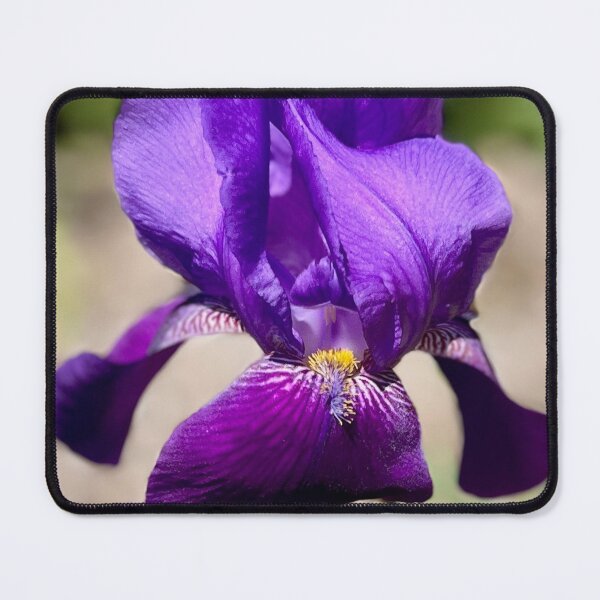 Item preview, The Exquisite Iris designed and sold by Lana Magnolia.