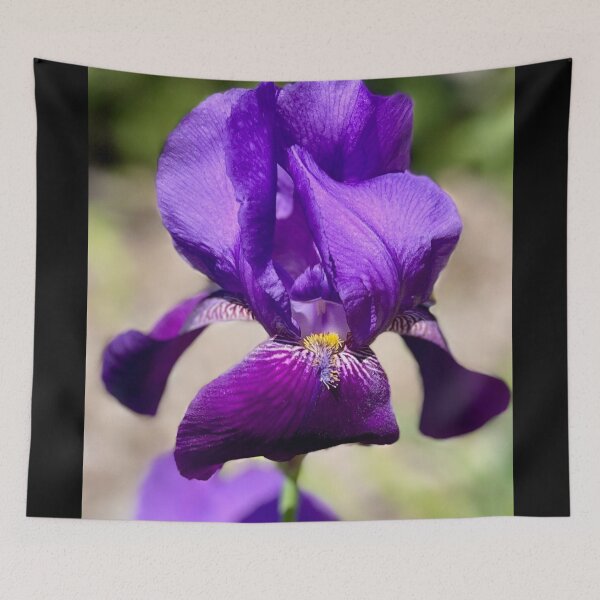 Item preview, The Exquisite Iris designed and sold by Lana Magnolia.