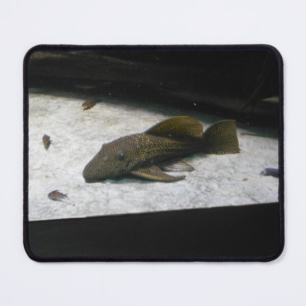 Item preview, Plecostomus designed and sold by GooglyEyes-.