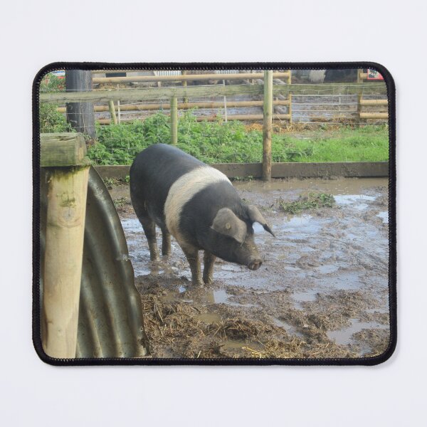Item preview, Black and Pink Pig designed and sold by GooglyEyes-.