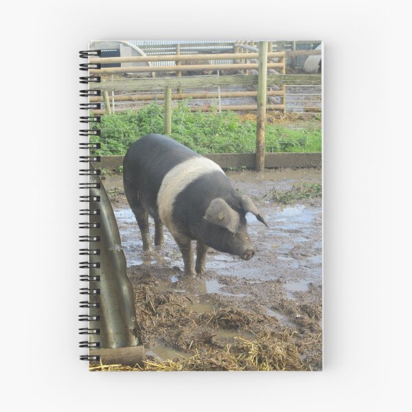 Item preview, Black and Pink Pig designed and sold by GooglyEyes-.