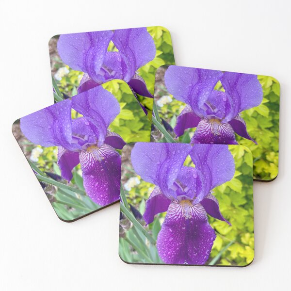 Item preview, Iris in the Rain designed and sold by Lana Magnolia.