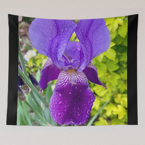 Item preview, Iris in the Rain designed and sold by Lana Magnolia.