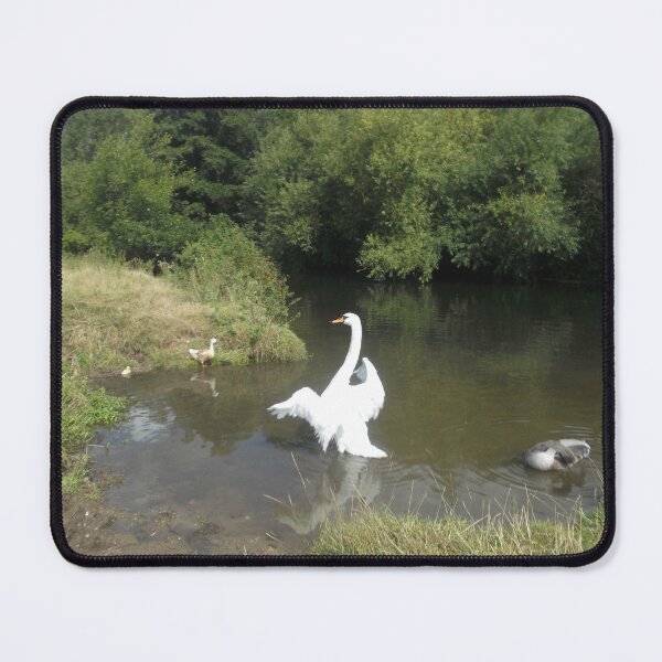 Item preview, Swan designed and sold by GooglyEyes-.