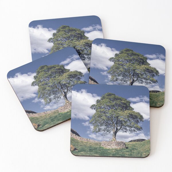 Item preview, The Sycamore Gap Tree designed and sold by Tom McPherson Photography.