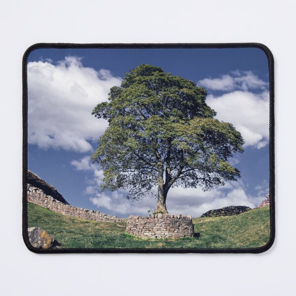 Item preview, The Sycamore Gap Tree designed and sold by Tom McPherson Photography.