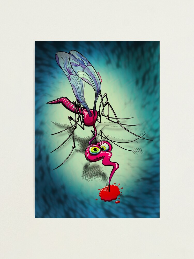 Mosquito Sucking Blood