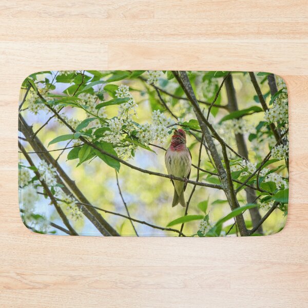 Item preview, Songs from the bird cherry. Scarlet rosefinch designed and sold by Jouko Lehto Photography.