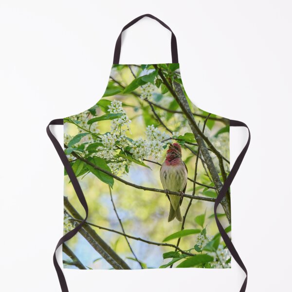 Item preview, Songs from the bird cherry. Scarlet rosefinch designed and sold by Jouko Lehto Photography.