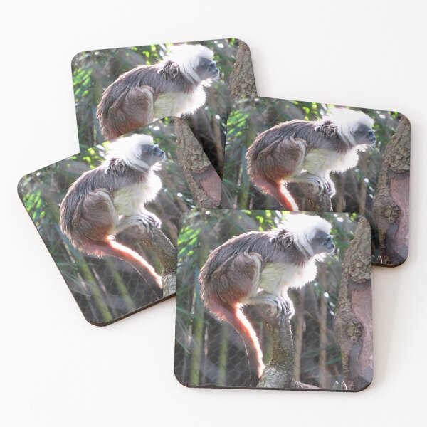 Item preview, Cotton-Top Tamarin designed and sold by ShutterbugBttns.