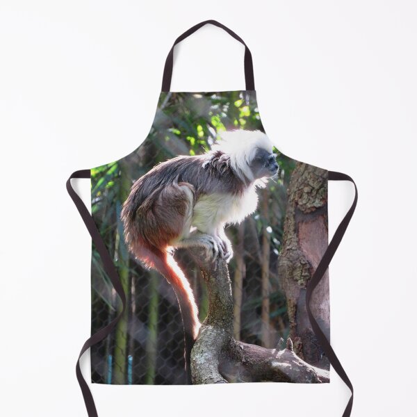 Item preview, Cotton-Top Tamarin designed and sold by ShutterbugBttns.