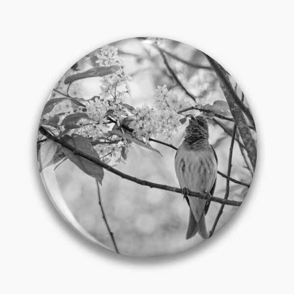 Item preview, Songs from the bird cherry. Scarlet rosefinch bw designed and sold by Jouko Lehto Photography.