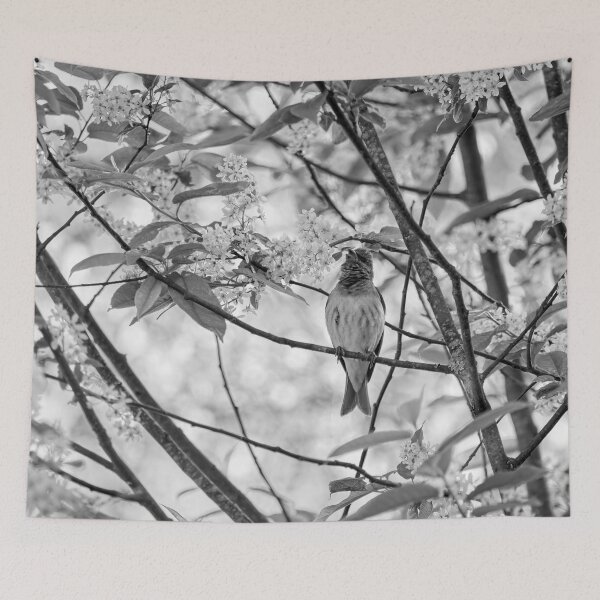 Item preview, Songs from the bird cherry. Scarlet rosefinch bw designed and sold by Jouko Lehto Photography.