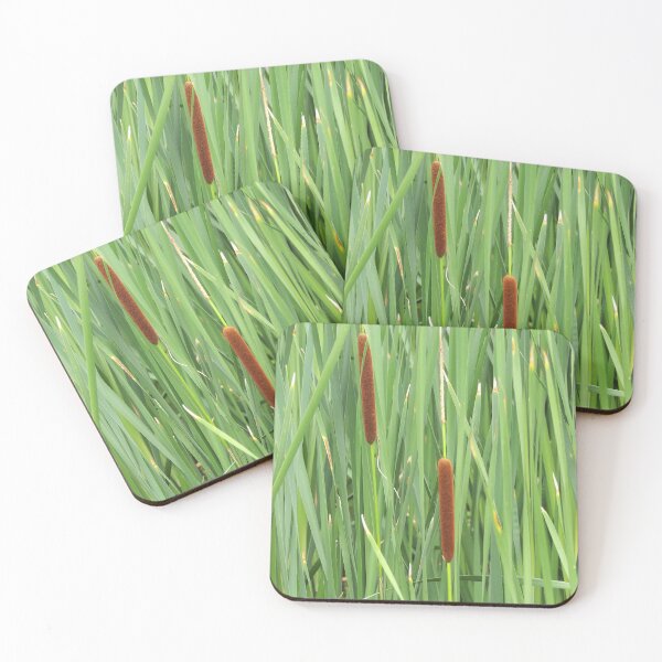 Item preview, Cattail Seedheads designed and sold by gistinker.