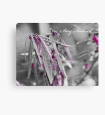 Stay focused ... Clarity Canvas Print