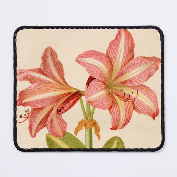 Item preview, Vintage Amaryllis O’Brieni Floral Print designed and sold by Bruiserstang.