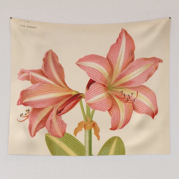 Item preview, Vintage Amaryllis O’Brieni Floral Print designed and sold by Bruiserstang.