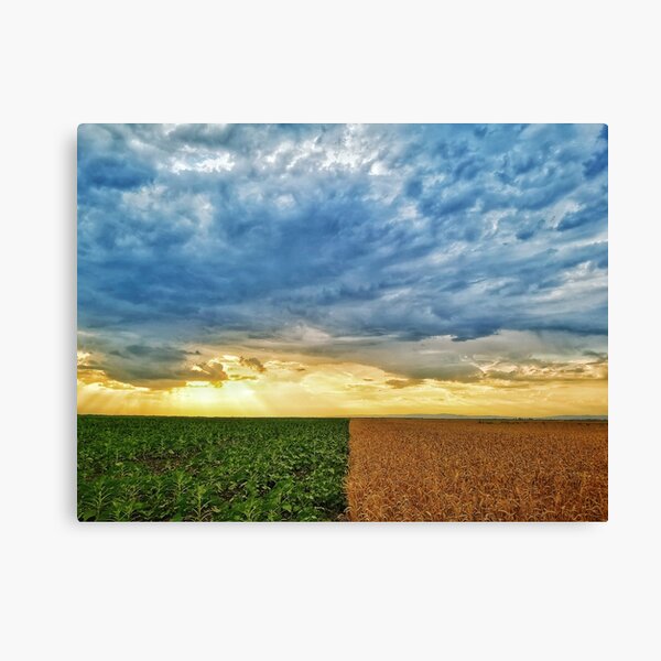 Sunset and clouds over the crops Canvas Print