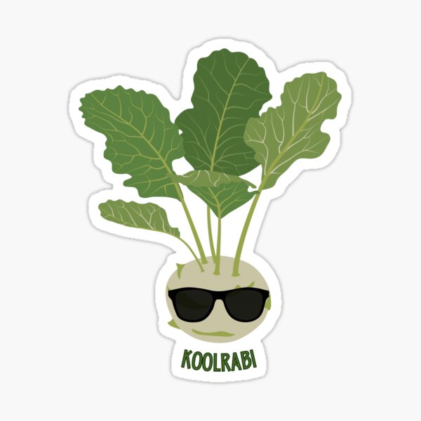 Artikel-Vorschau von Cooler Kohlrabi - Koolrabi, designt und verkauft von GreenBeanery.