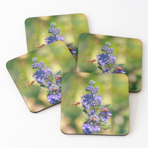 Item preview, Bee Season designed and sold by Falln.