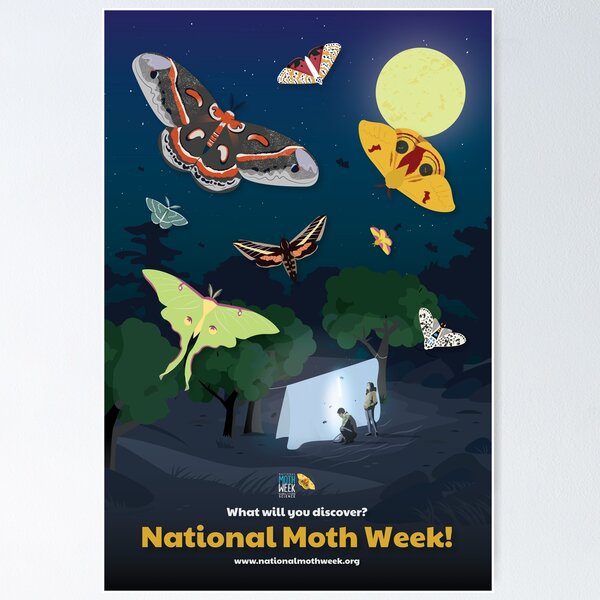 National Moth Week Poster Poster