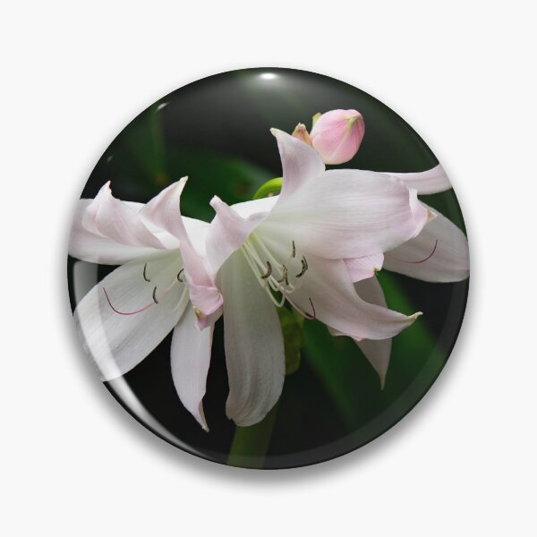 Item preview, Lily at Jose Do Canto Botanical Garden designed and sold by Kathy Weaver.
