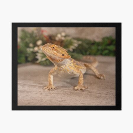 Item preview, Bearded Dragon posing nicely designed and sold by PTPhotoLLC.